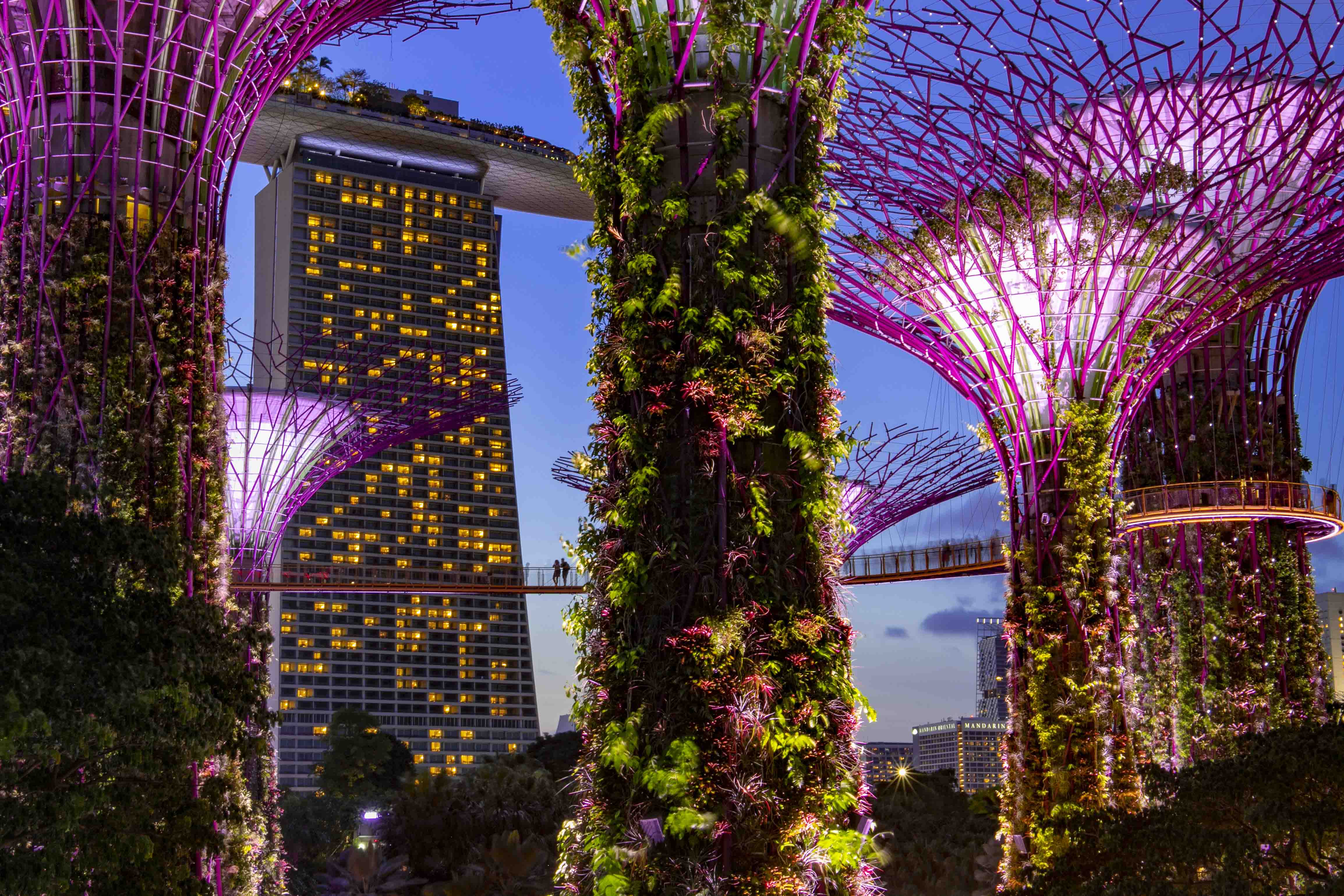 Gardens by the Bay skyway